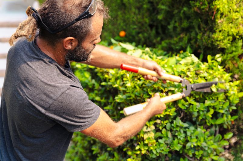 Summer Shrub Care