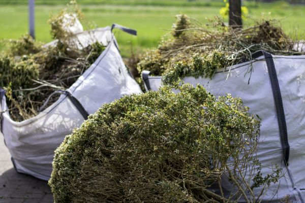 Cost of Shrubs Removal in Brentwood