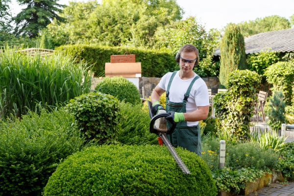 Cost of Shrubs Trimming in Brentwood