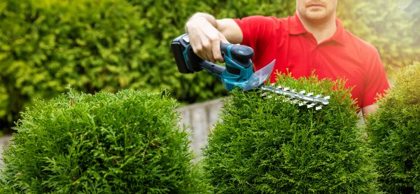 Cost of Hedge Shaping Service in Brentwood
